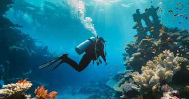 Bangkok to Koh Tao: Every Route Option, Compared Honestly
