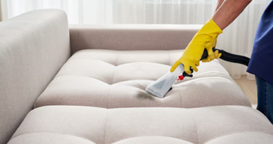 How to Get Rid of Pet Odours and Stains in Wolverhampton Homes