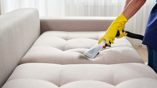 How to Get Rid of Pet Odours and Stains in Wolverhampton Homes