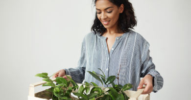 How Online Plant Delivery in Delhi Is Transforming Home Gardening
