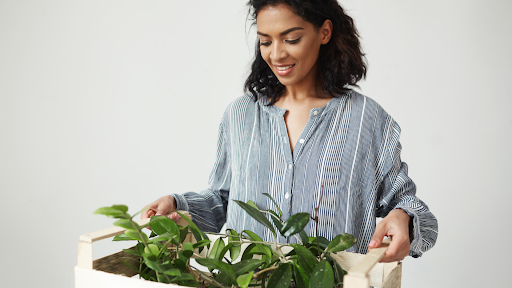How Online Plant Delivery in Delhi Is Transforming Home Gardening