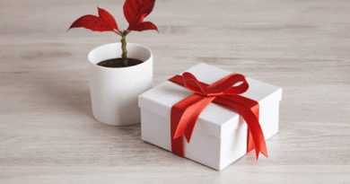 How to Find the Best Diwali Gift Sale Deals on Plants and Eco-Friendly Products